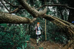 BIB: 
                            <button type="button" onclick="openModal(25705802)" class="btn btn-primary btn-sm float-right btn-popup" data-toggle="modal" data-target=".modal-high-quality">
                        <i class="fas fa-shopping-cart"></i> Add to Cart
                    </button>
                                            <button type="button" onclick="isThisMe(25705802, true)" class="btn btn-success btn-sm float-right btn-popup btn-isme hidden" data-toggle="tooltip" data-placement="bottom" title="นี่คือรูปของคุณใช่ไหม คลิกที่นี่เพื่อเอาเข้าอัลบั้ม">
                        <i class="fas fa-plus"></i> Add to album
                    </button>
                    <button type="button" onclick="isThisMe(25705802, false)" class="btn btn-warning btn-sm float-right btn-popup btn-isnotme hidden">
                        <i class="fas fa-ban"></i> Remove from album
                    </button>